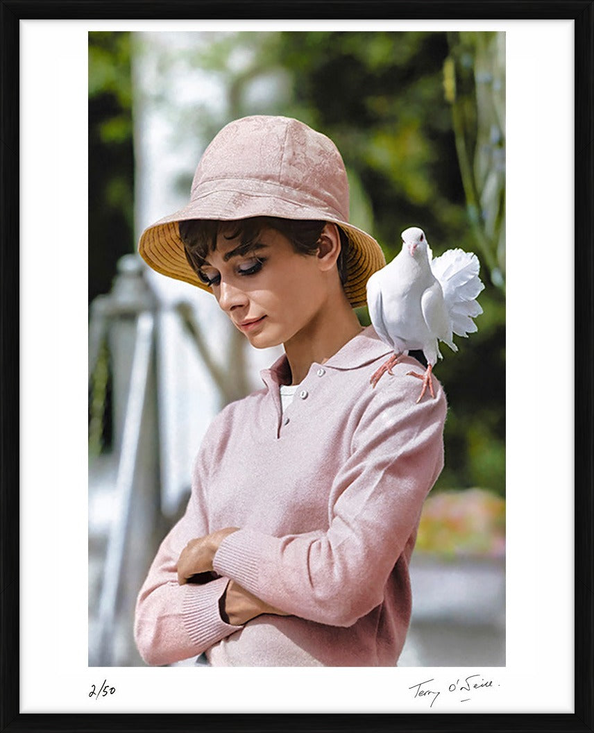 Audrey Hepburn