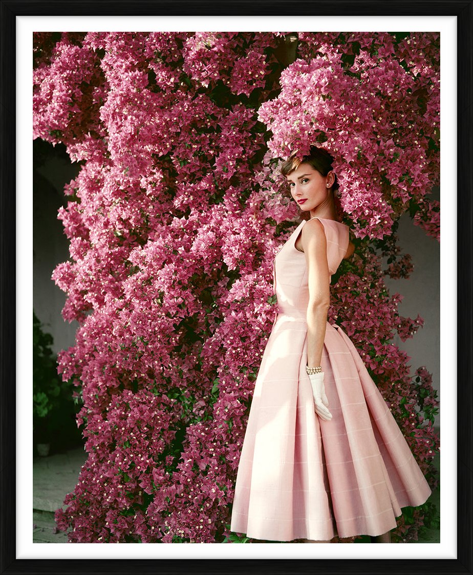 Norman Parkinson Collection