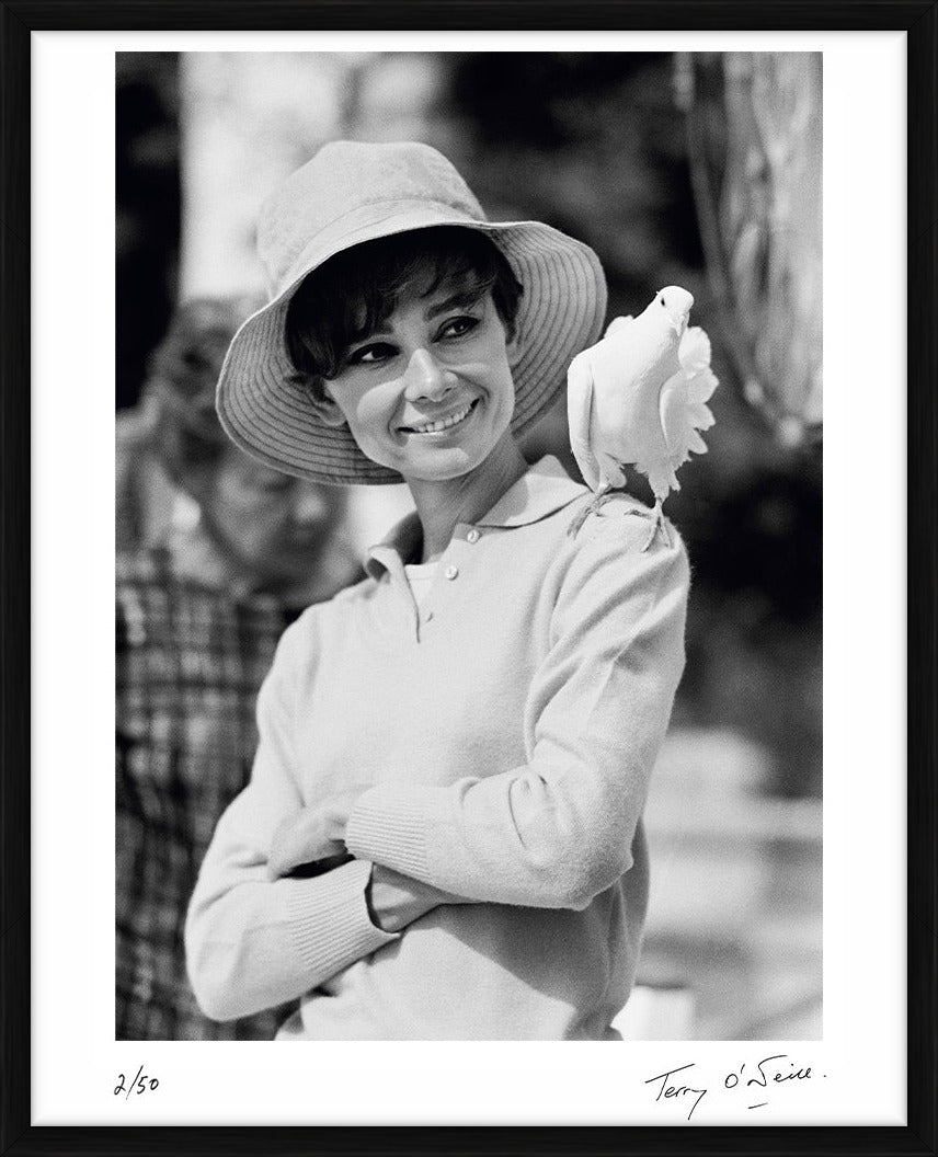  by Iconic Images – Limited Edition Print.