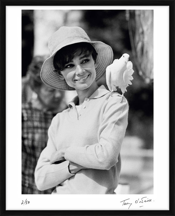 Audrey Hepburn and a dove, 1966 — Limited Edition Print, framed - Terry O'Neill
