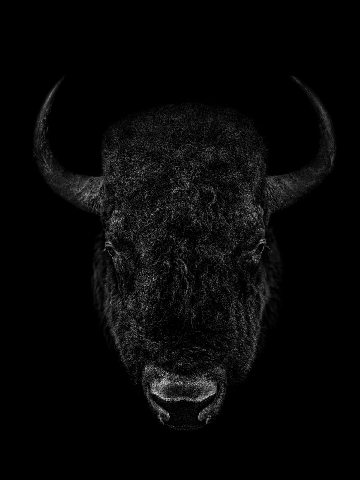  by Iconic Images – Limited Edition Print.