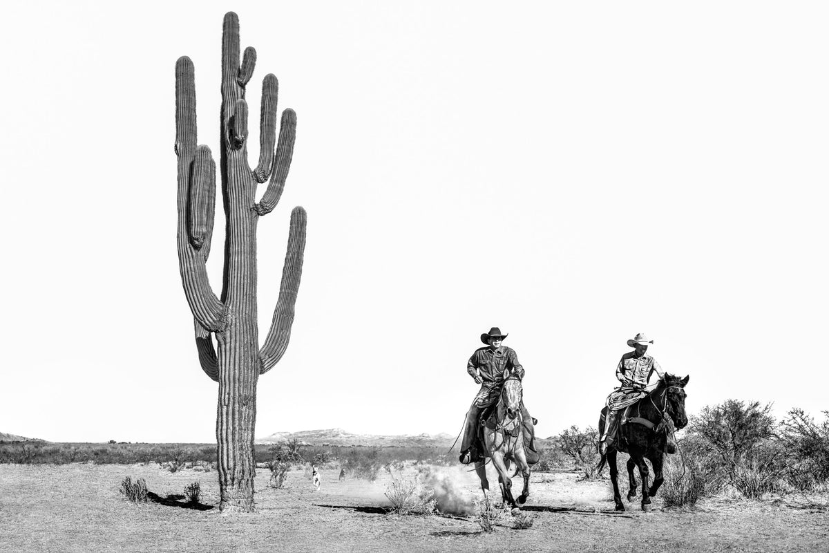  by Iconic Images – Limited Edition Print.