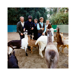 The band at San Diego Zoo, 1966 - Co-signed Edition Print by The Beach Boys – Limited Edition Print.