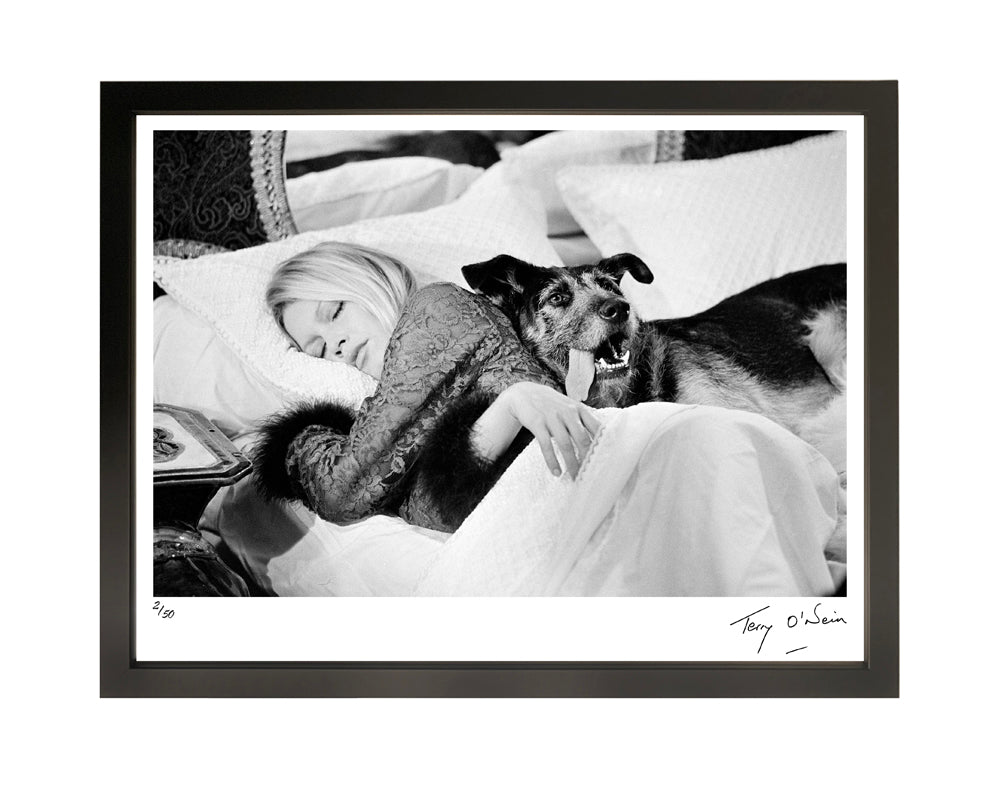  by Iconic Images – Limited Edition Print.
