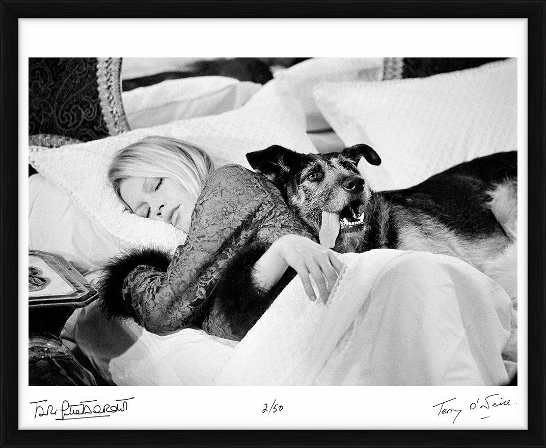  by Iconic Images – Limited Edition Print.