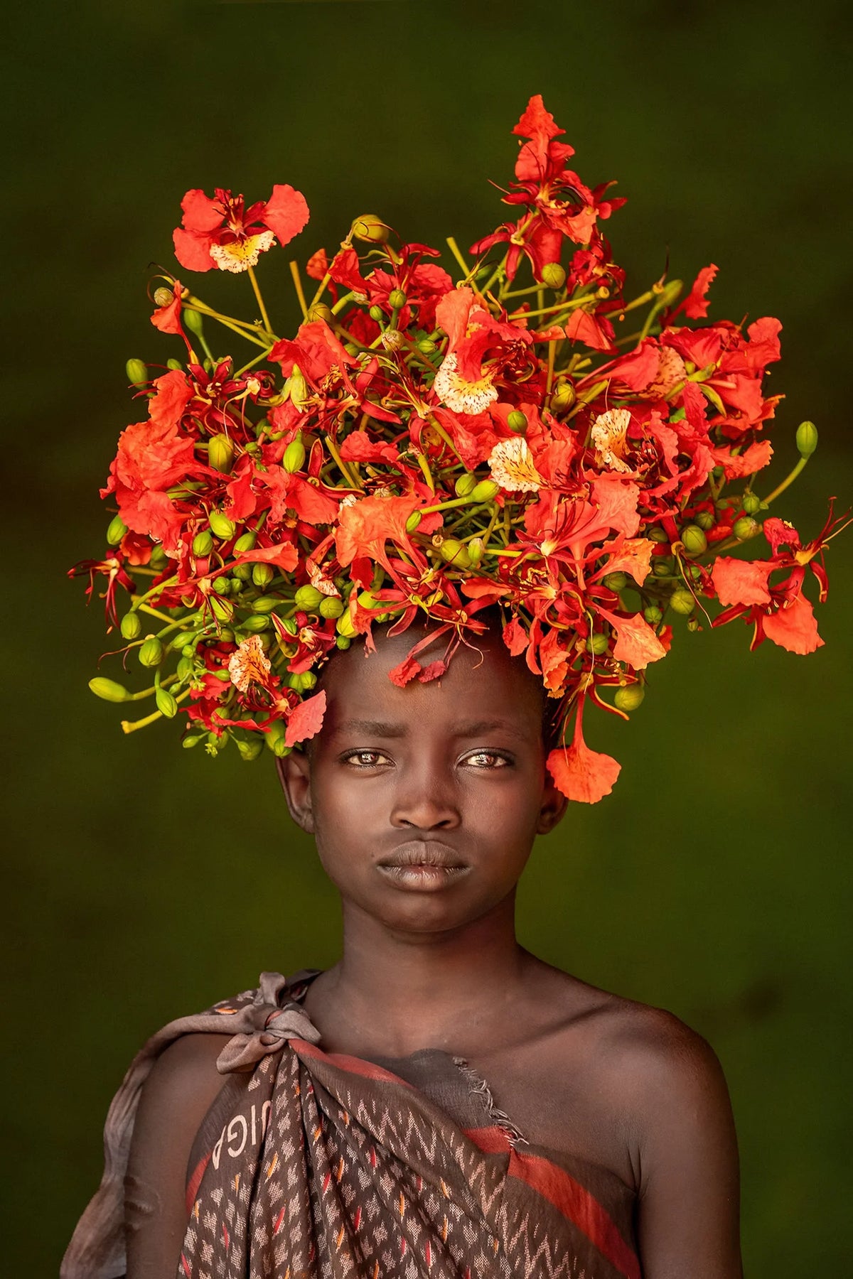  by Iconic Images – Limited Edition Print.