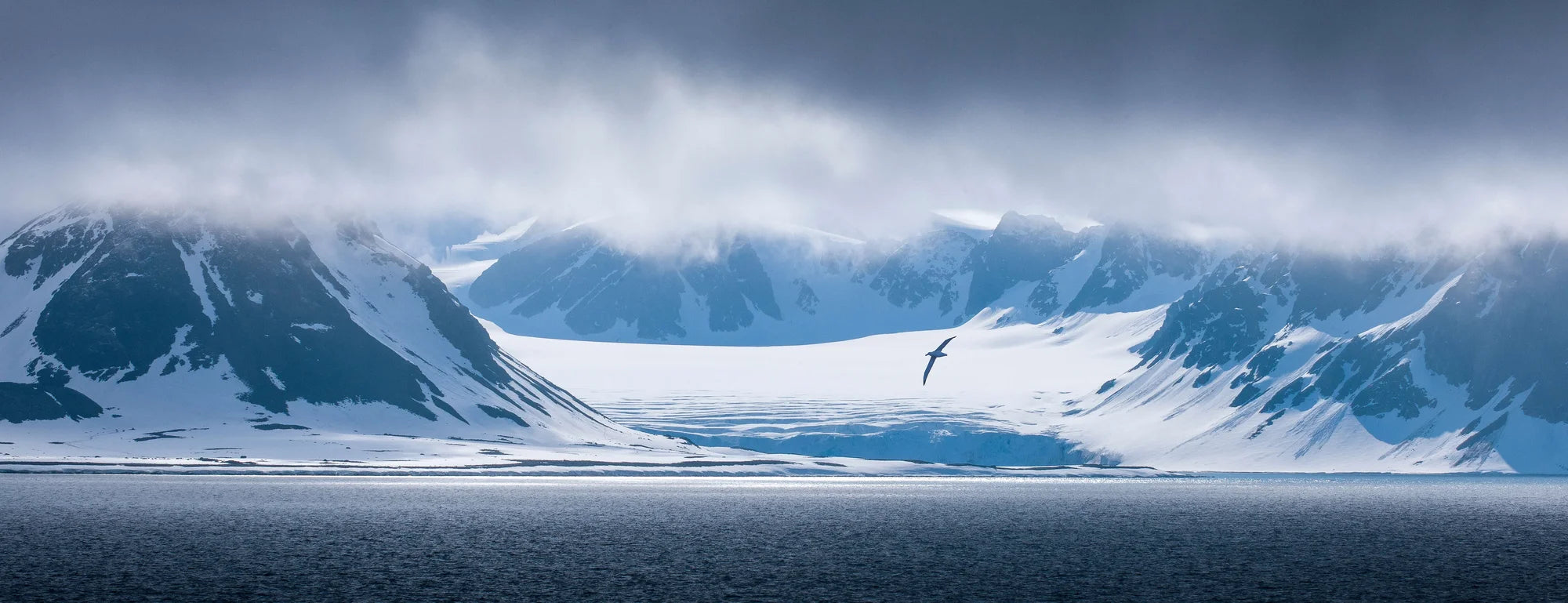 Snow Sailor – Limited Edition Print