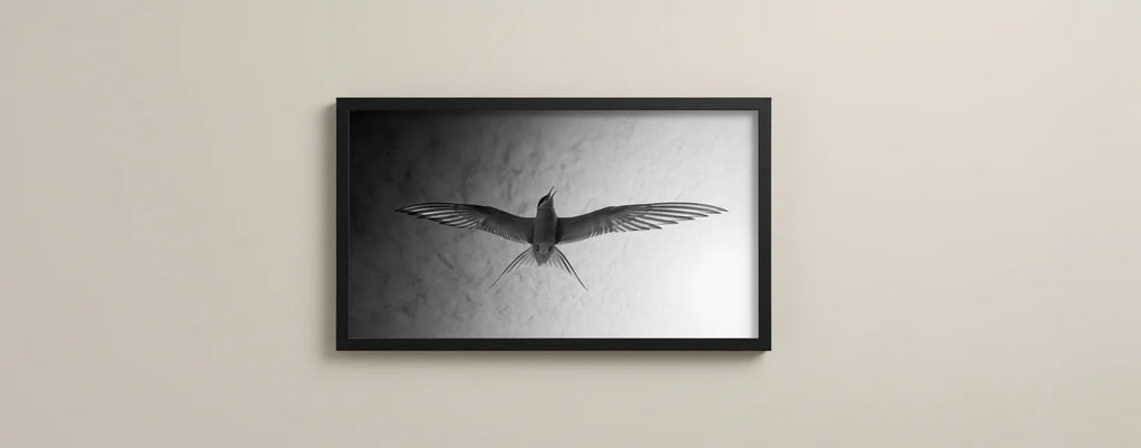 Audrey Hepburn – Limited Edition Print