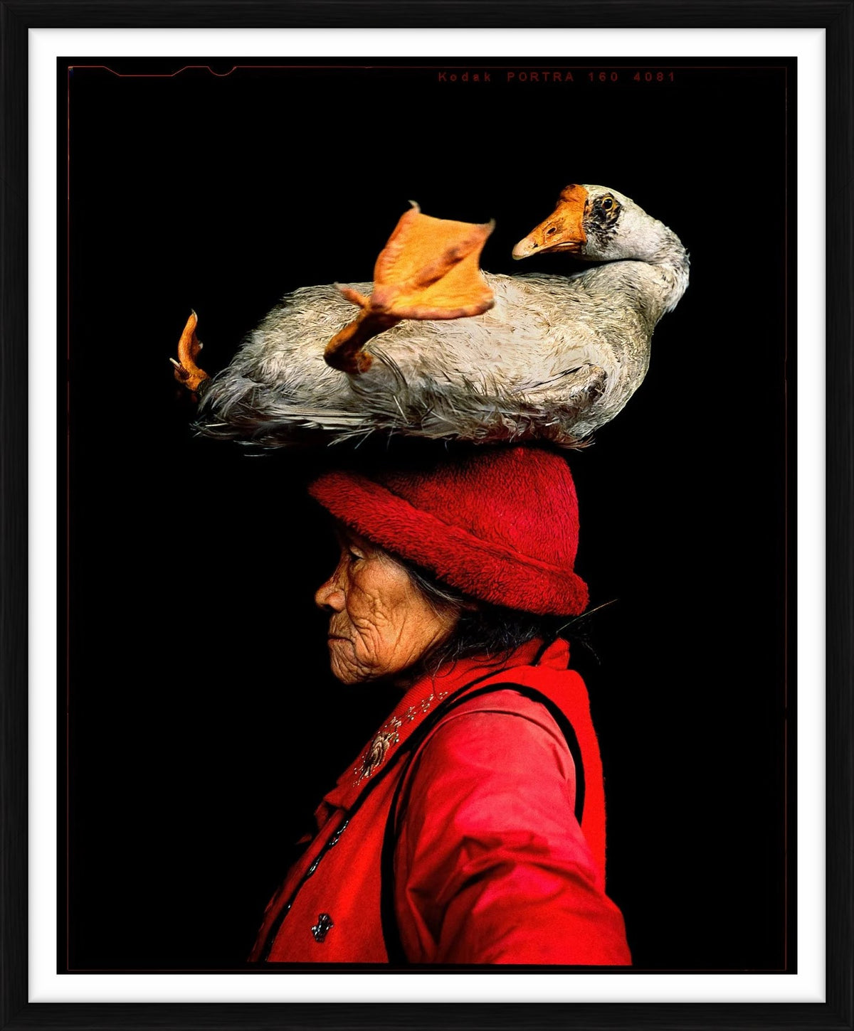  by Iconic Images – Limited Edition Print.