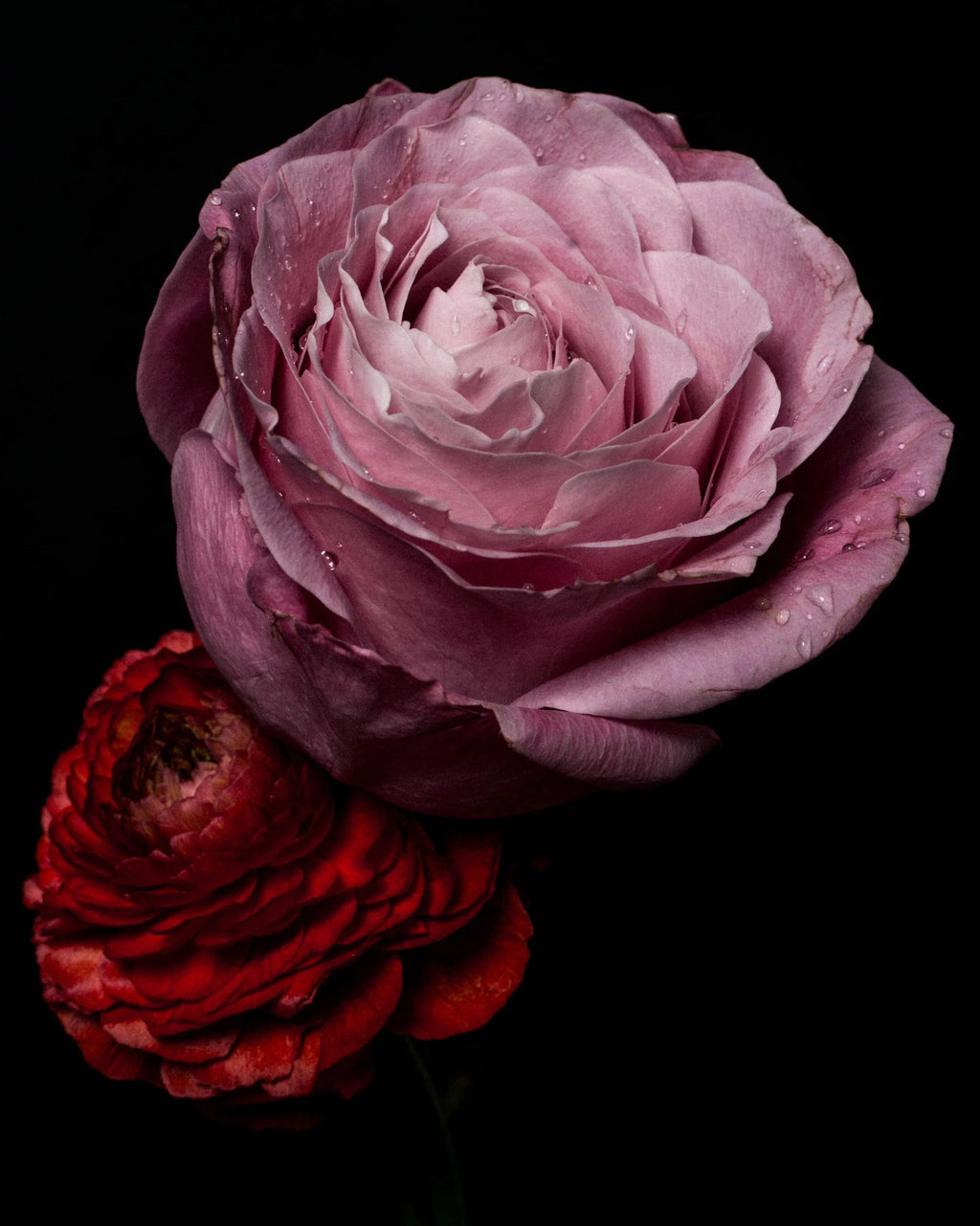 Untitled IV by Charles Moriarty – Limited Edition Print.
