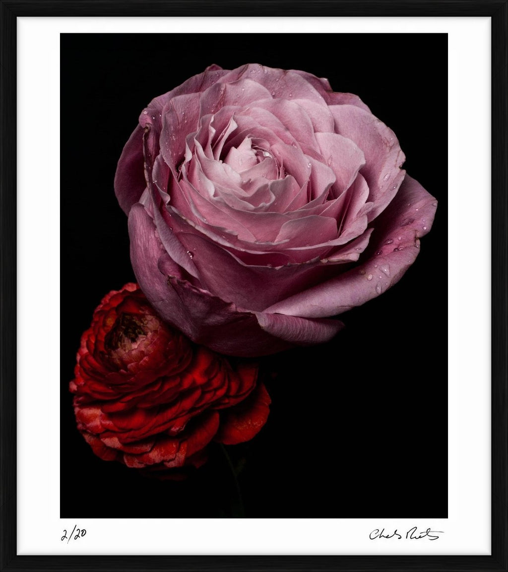 Untitled IV by Charles Moriarty – Limited Edition Print.