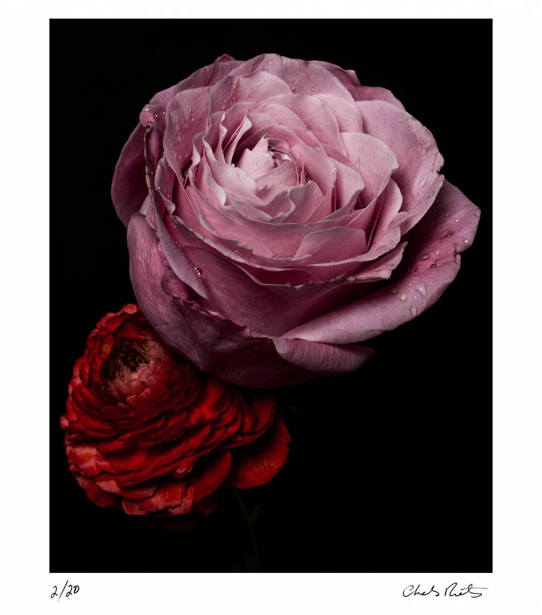 Untitled IV by Charles Moriarty – Limited Edition Print.