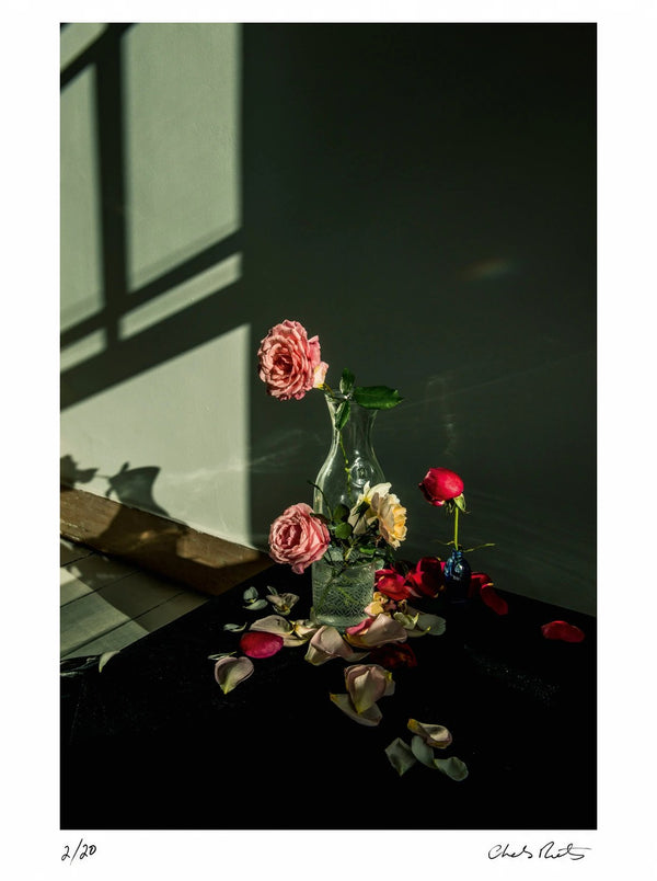 The Last Roses II — Signed Limited Edition Print - Charles Moriarty