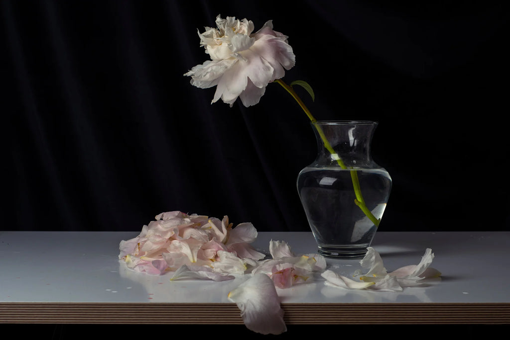 Peonies I by Charles Moriarty – Limited Edition Print.