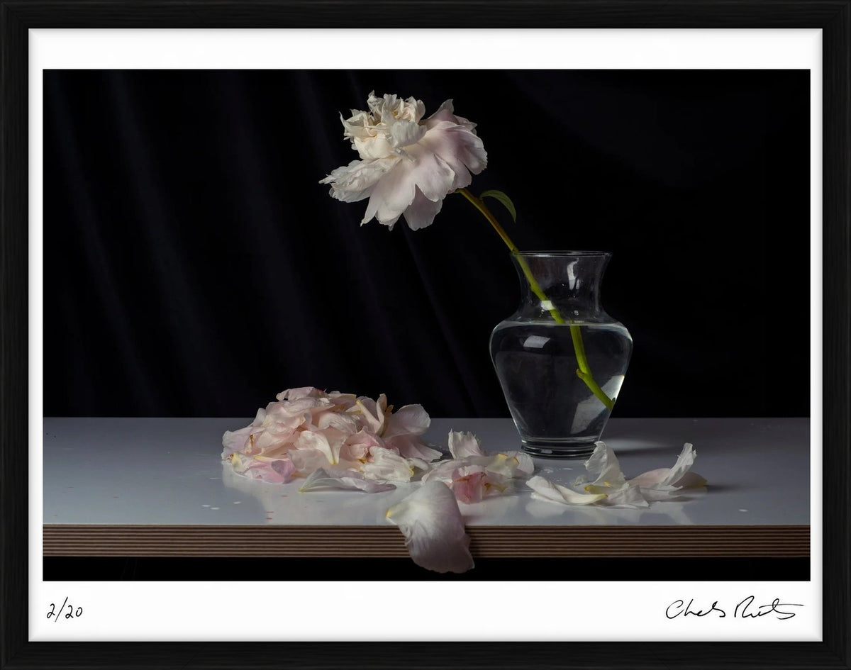  by Iconic Images – Limited Edition Print.