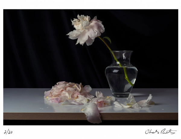 Peonies I — Signed Limited Edition Print - Charles Moriarty