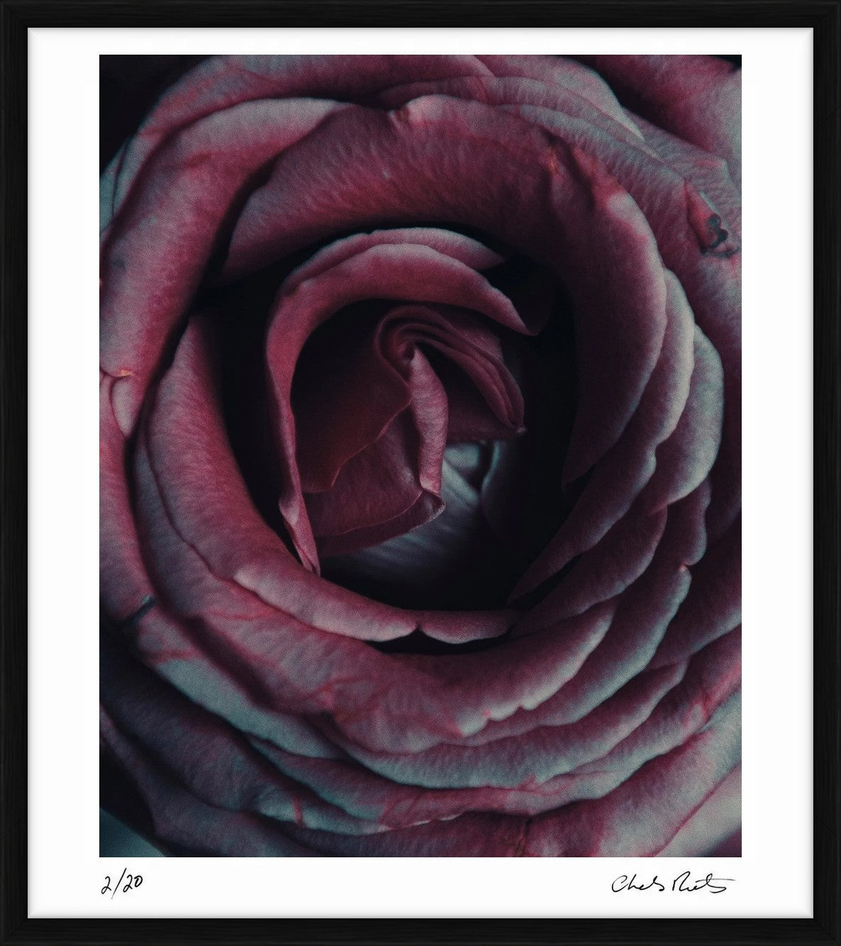  by Iconic Images – Limited Edition Print.