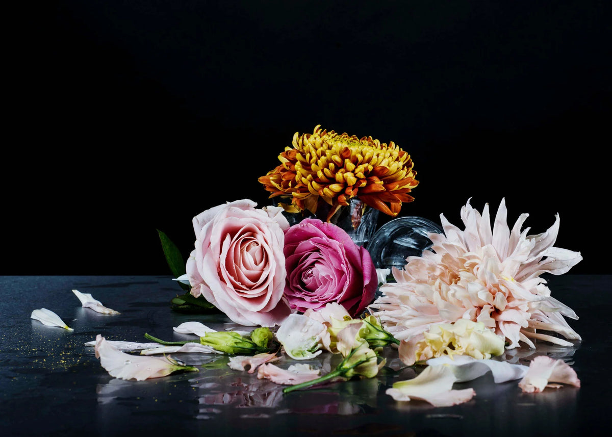  by Iconic Images – Limited Edition Print.