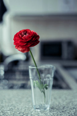Remembrance by Charles Moriarty – Limited Edition Print.
