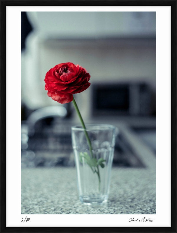 Remembrance — Limited Edition Print, framed - Charles Moriarty