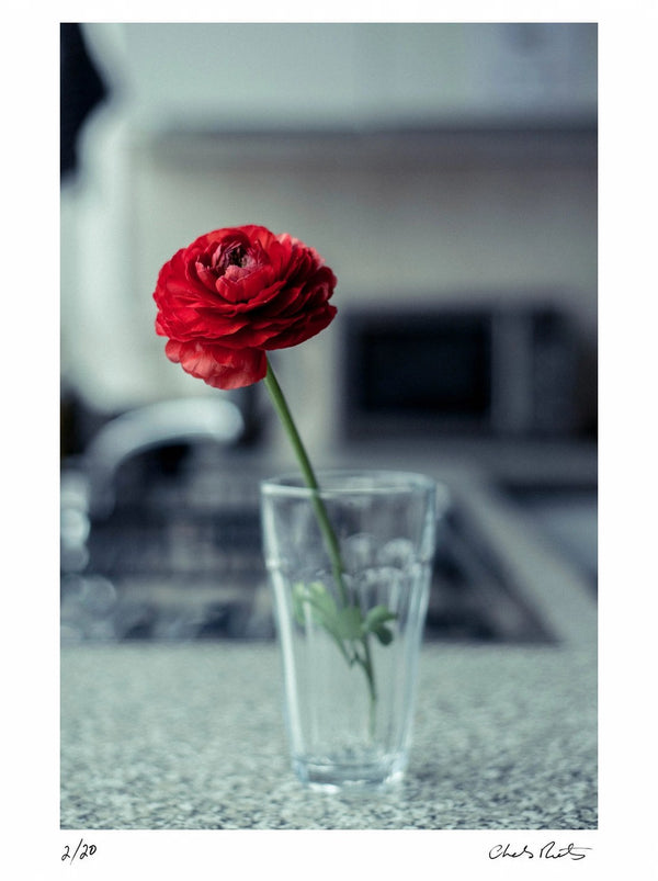 Remembrance — Signed Limited Edition Print - Charles Moriarty