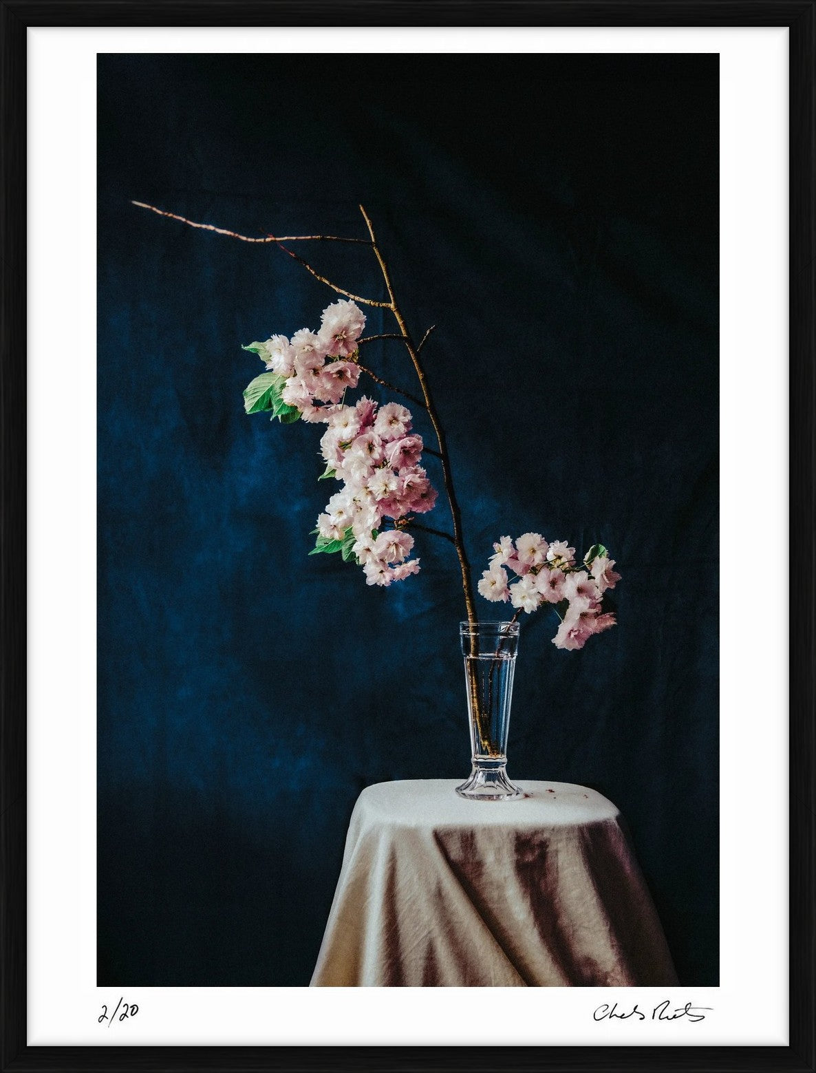  by Iconic Images – Limited Edition Print.