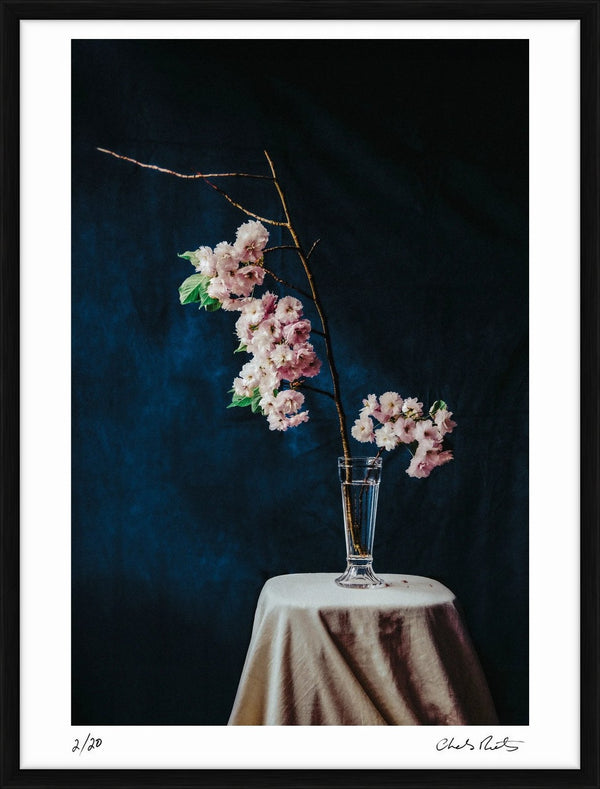 Re-Birth, London, 2026 — Limited Edition Print, framed - Charles Moriarty