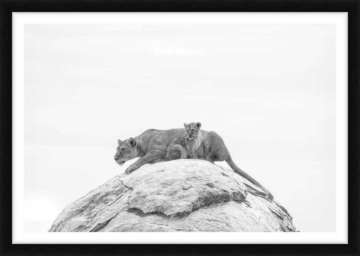  by Iconic Images – Limited Edition Print.