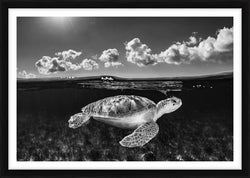 The Traveler - Bahamas, 2020 by Cristina Mittermeier – Limited Edition Print.