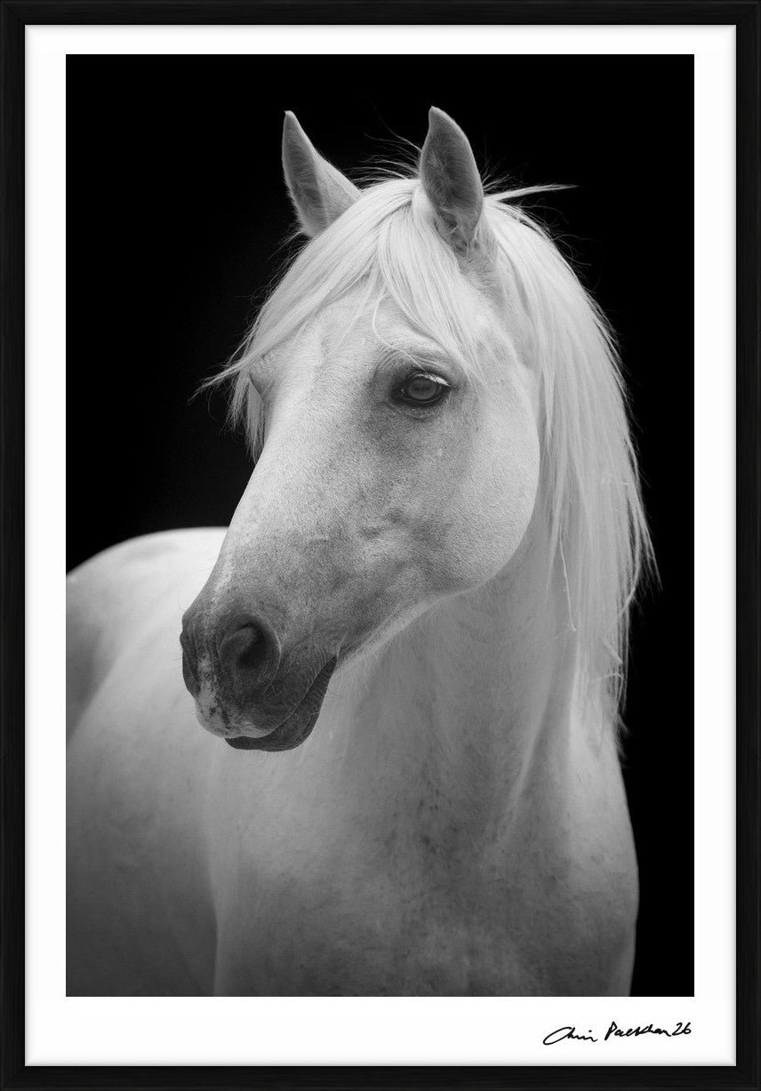 Catherine Deneuve – Limited Edition Print by Chris Packham – Limited Edition Print.