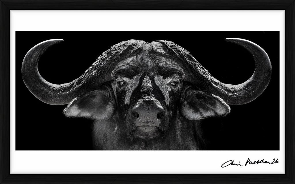 God of War – Limited Edition Print by Chris Packham – Limited Edition Print.