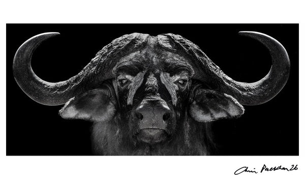 God of War — Signed Limited Edition Print - Chris Packham