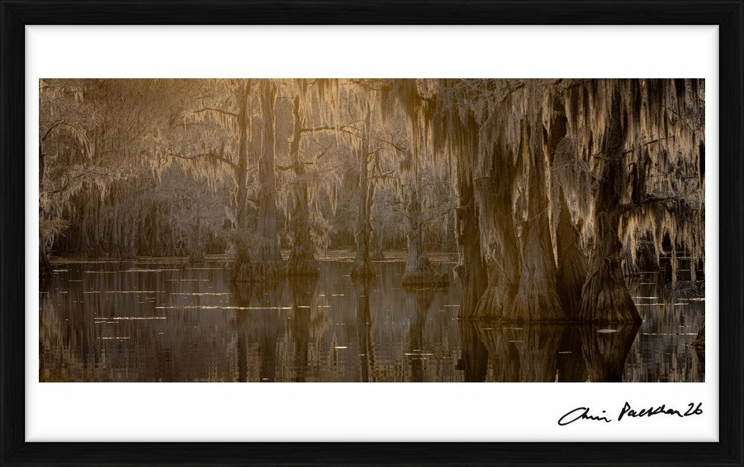 Lost Man's Home by Chris Packham – Limited Edition Print.