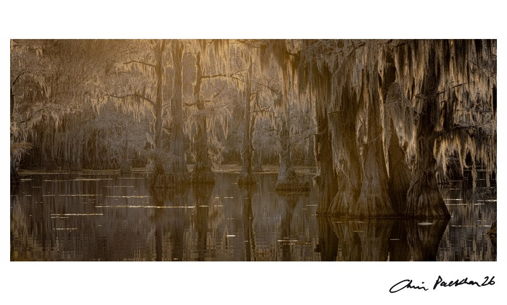 Lost Man's Home – Limited Edition Print by Chris Packham – Limited Edition Print.