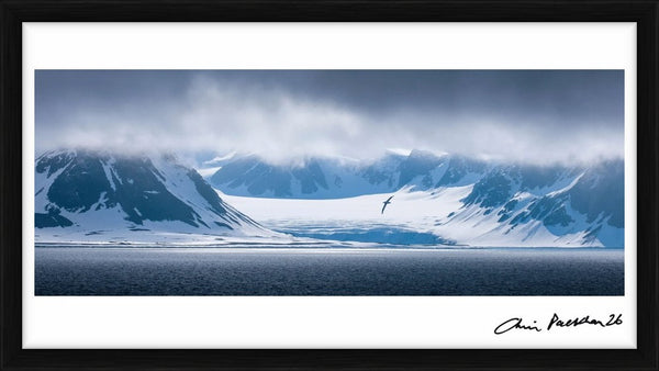 Snow Sailor — Limited Edition Print, framed - Chris Packham
