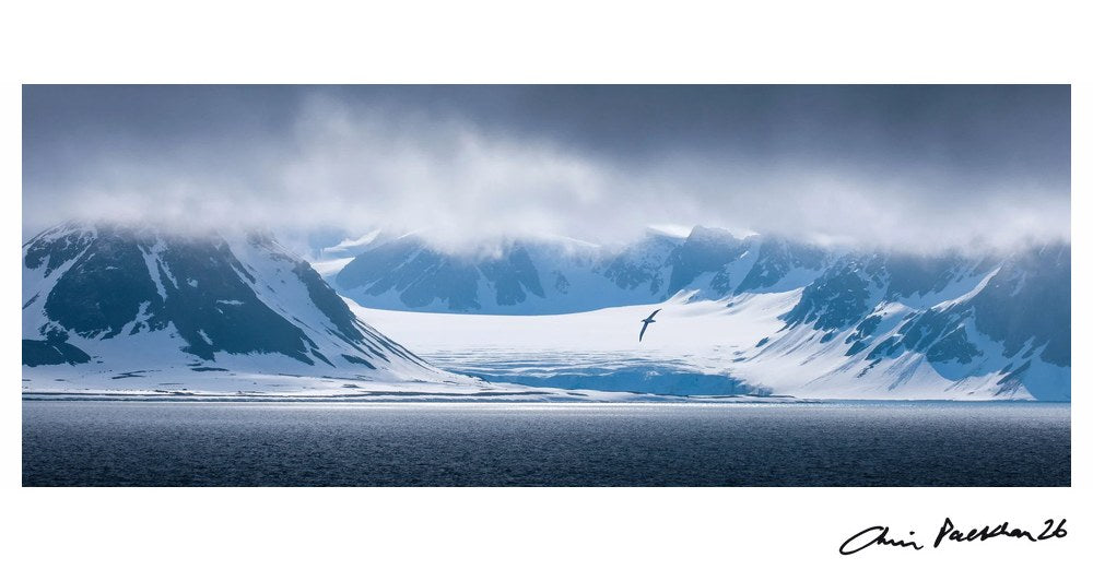 Snow Sailor by Chris Packham – Limited Edition Print.