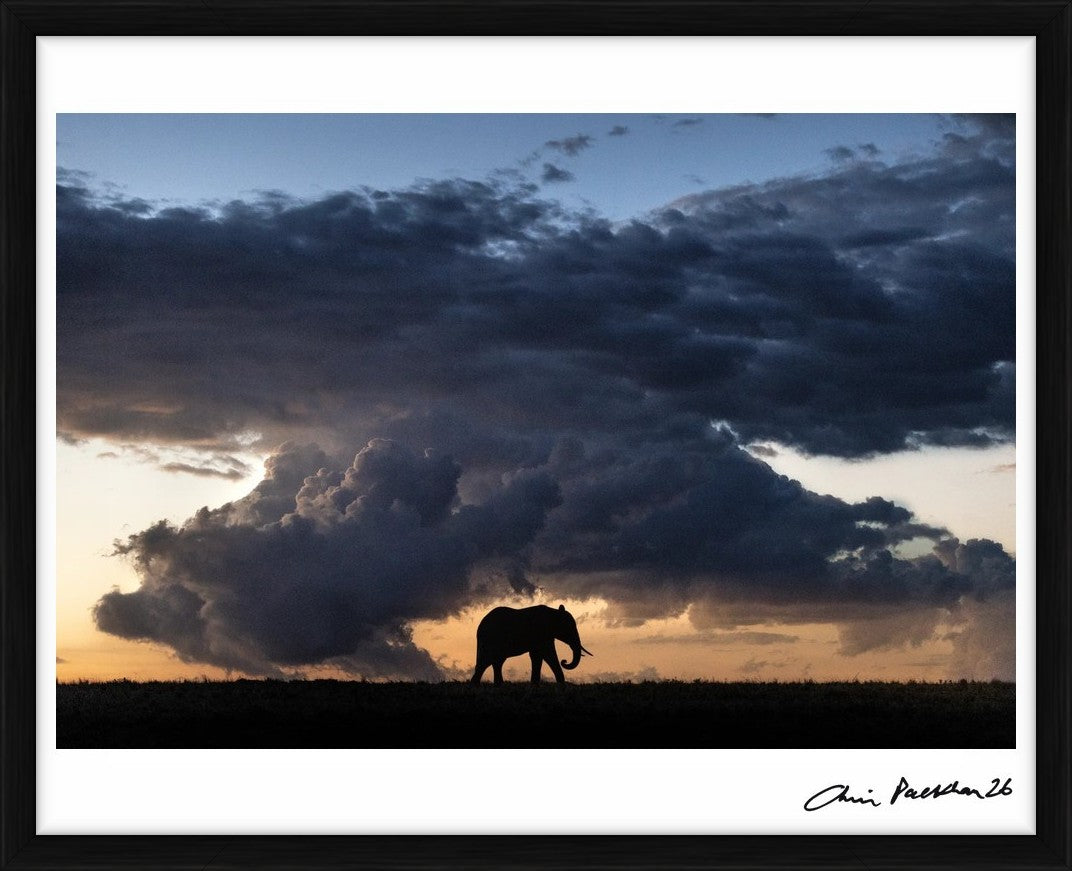Stormchaser by Chris Packham – Limited Edition Print.