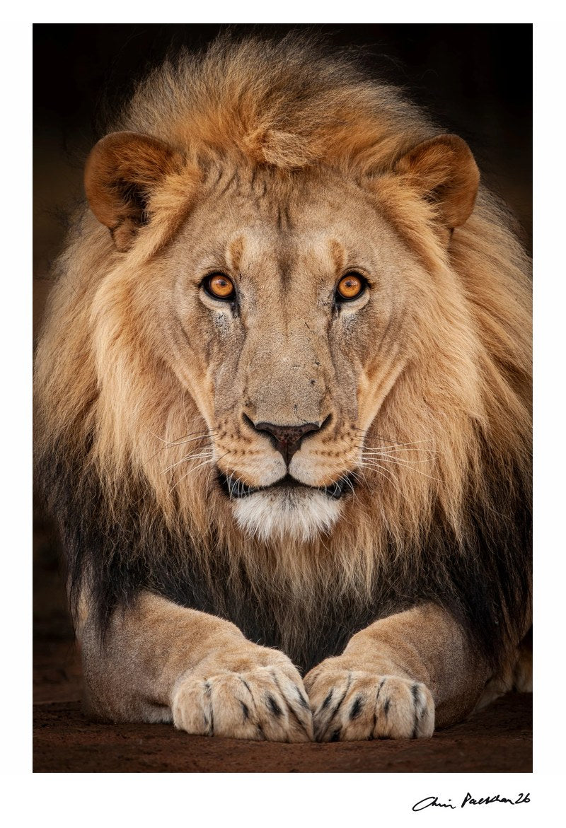 Trust Me… by Chris Packham – Limited Edition Print.