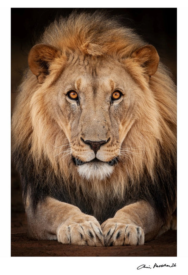 Trust Me… — Signed Limited Edition Print - Chris Packham
