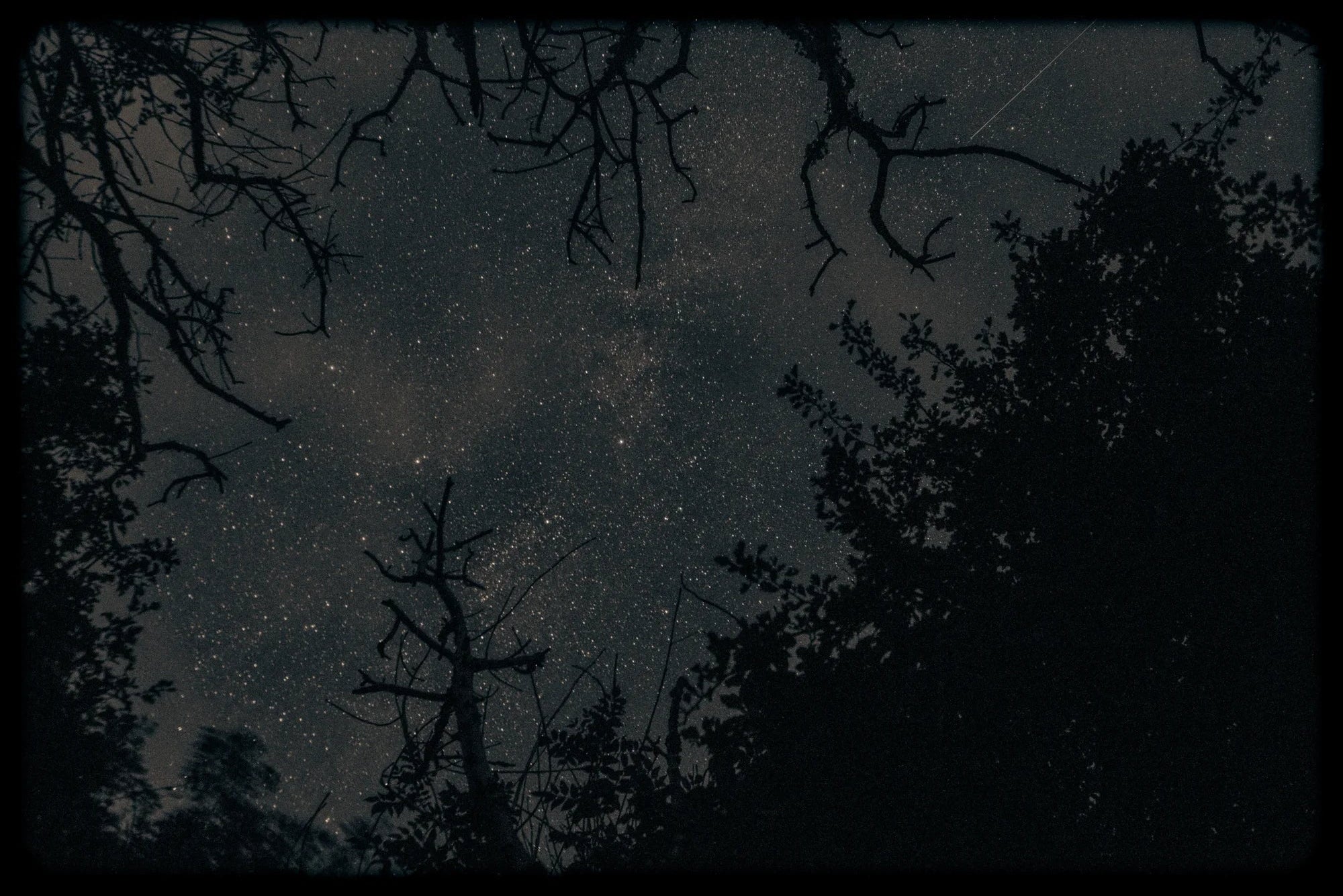 Travels by Starlight – Limited Edition Print
