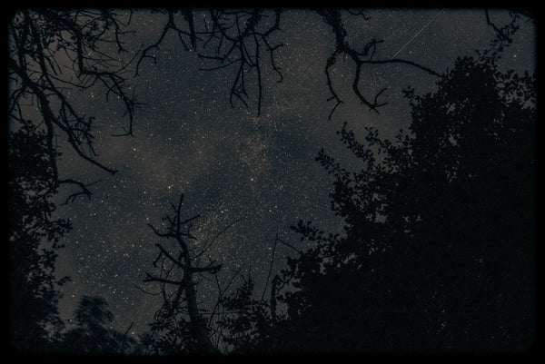 Travels by Starlight – Limited Edition Print