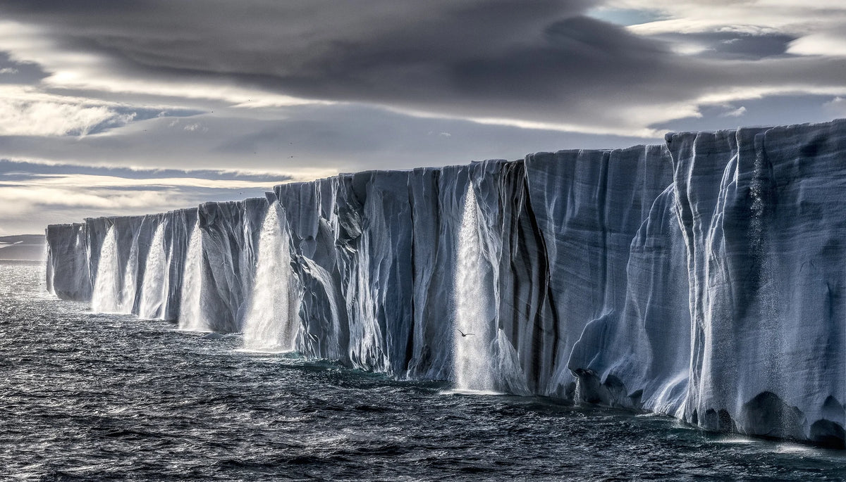 <p>Reverence: The Photography of Paul Nicklen</p>