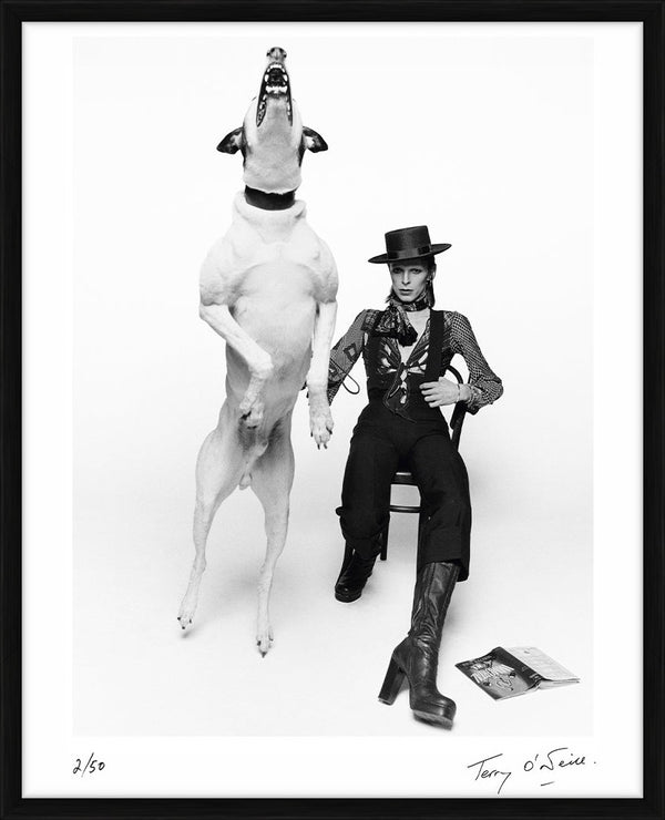 David Bowie for Diamond Dogs, 1974 — Limited Edition Print, framed - Terry O'Neill