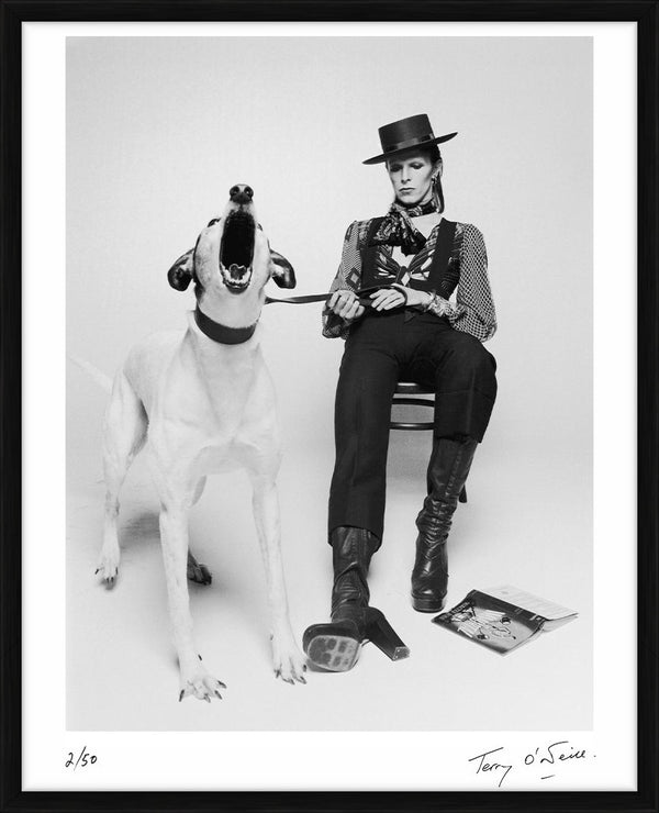 David Bowie for Diamond Dogs II, 1974 — Limited Edition Print, framed - Terry O'Neill