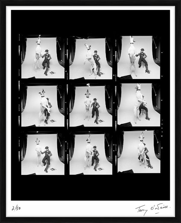 David Bowie Diamond Dogs contact sheet, 1974 — Limited Edition Print, framed - Terry O'Neill