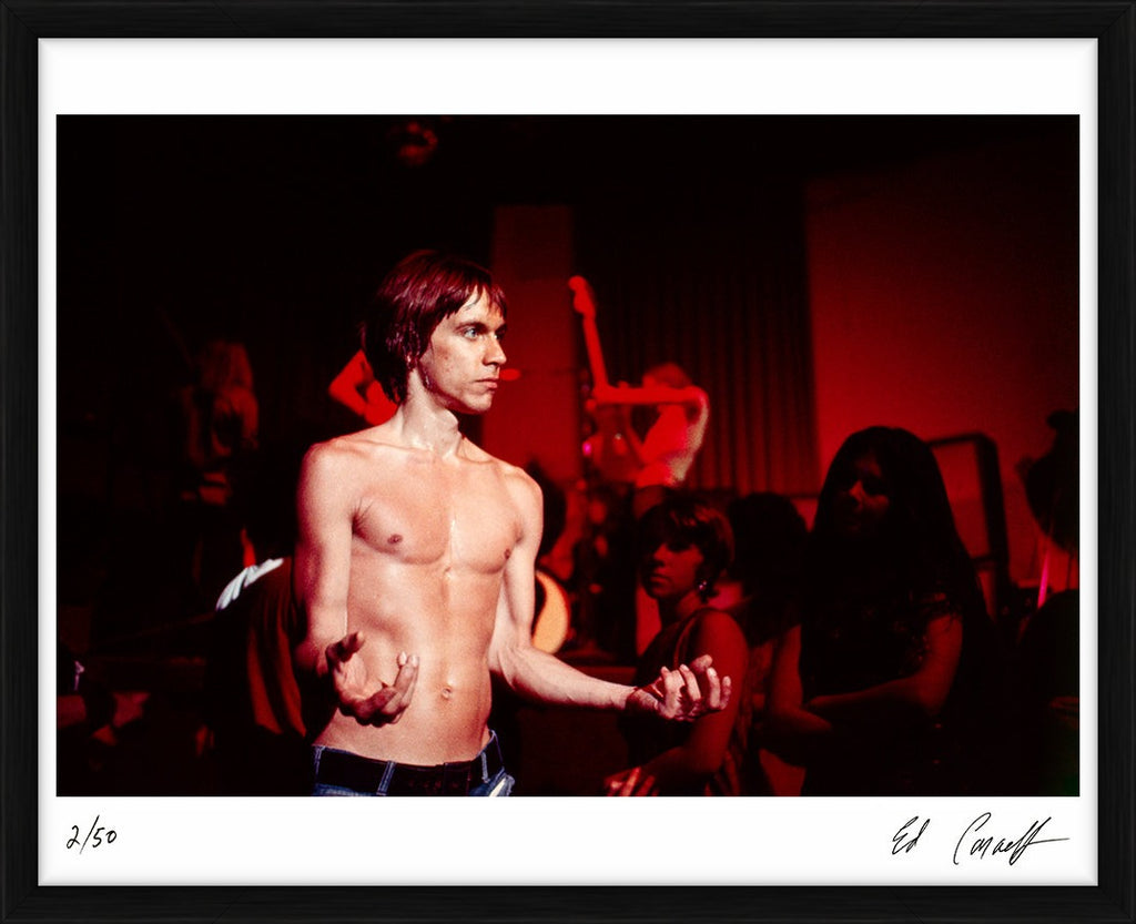 Iggy Pop posing for the audience, 1970 - Limited Edition Print by Ed Caraeff – Limited Edition Print.