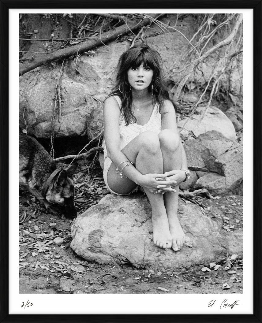  by Iconic Images – Limited Edition Print.