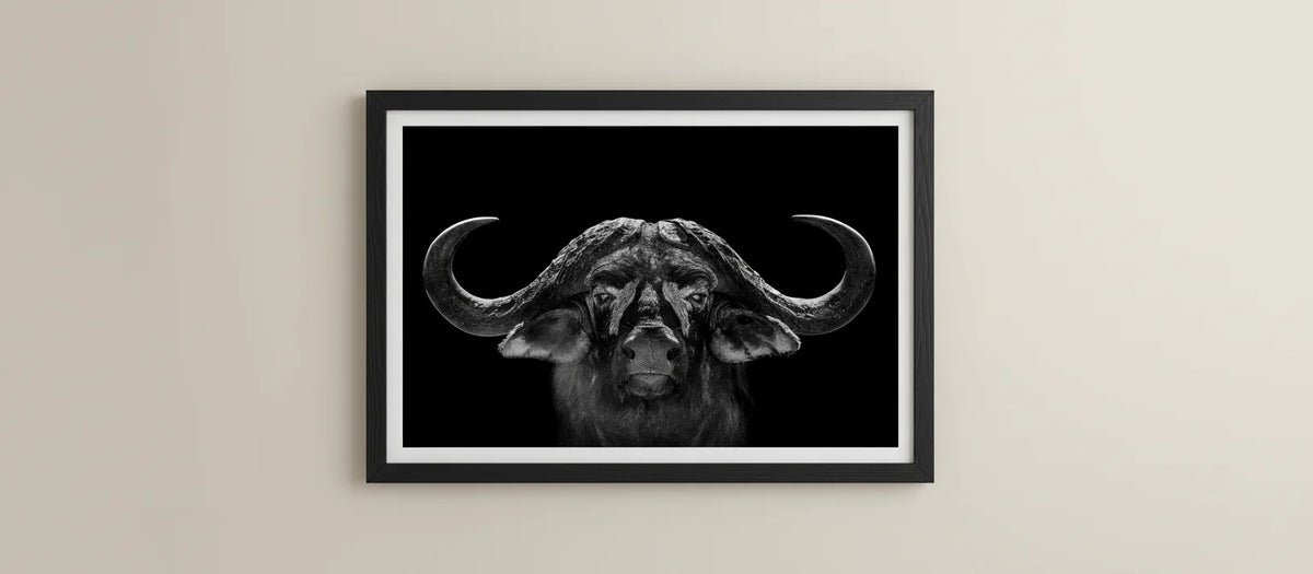 God of War by Chris Packham – Limited Edition Print.