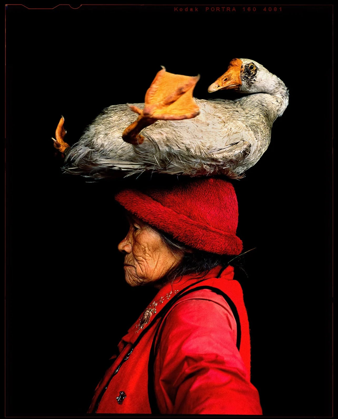 Lady with the Goose – China, 2008