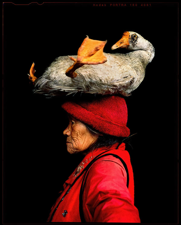 Lady with the Goose (Film) - China, 2008